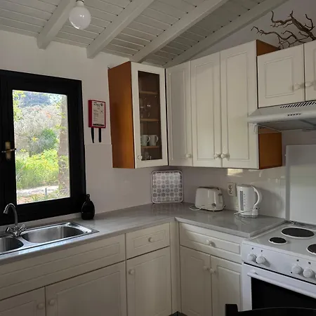 The Holiday home