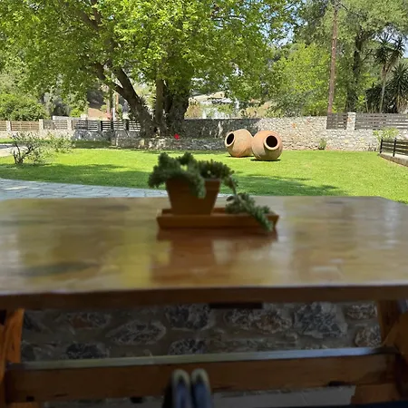 The بلاتانياس