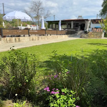 The * بلاتانياس